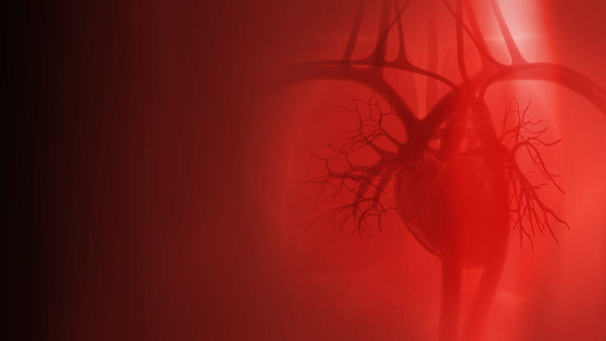 ความดันโลหิตสูง บริการ. วิลลิส ไนท์ตัน โรคหัวใจ แพทย์โรคหัวใจอันดับต้น ๆ ผู้เชี่ยวชาญด้านโรคหลอดเลือดหัวใจขั้นสูงที่สุดในชรีฟพอร์ต บอสเซียร์ ซิตี้ หลุยเซียน่า และอาร์คลาเท็กซ์ วอลล์เปเปอร์ HD