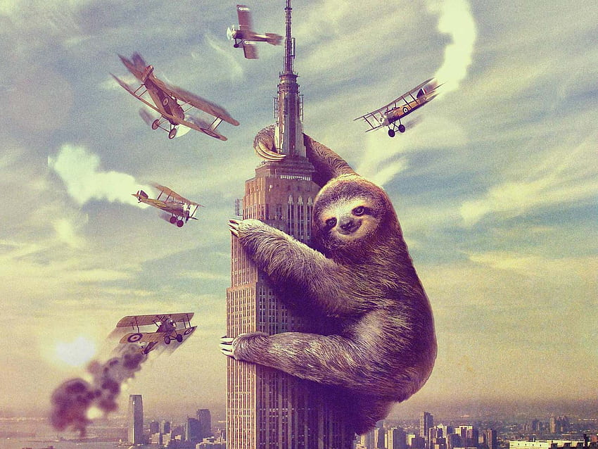 Sid the Sloth . Sid Vicious, Cute Sloth HD wallpaper