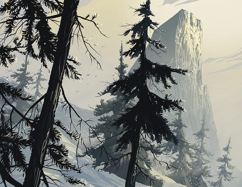 Vektor, Winter, Kunst, Wald, Äste, Tanne, Fichte HD-Hintergrundbild