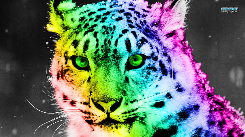 Colorful Cheetah, Neon Animal Print HD wallpaper