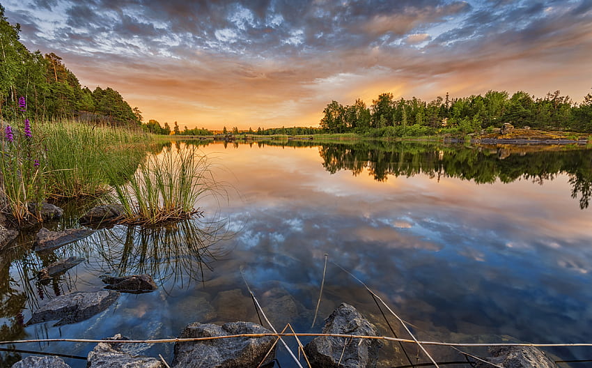 Lake in Finland, trees, finland, sunset, lake HD wallpaper