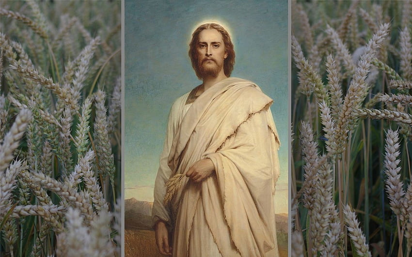 Jesus - Wheat Grain, Christ, God, painting, Jesus, wheat, Grain HD wallpaper