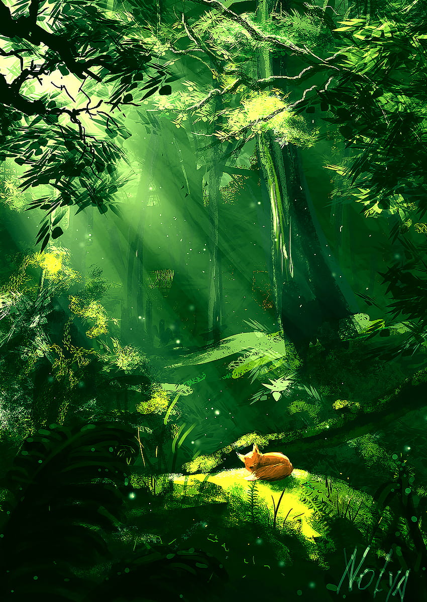 Nature, Art, Fox, Forest, Sunlight HD phone wallpaper