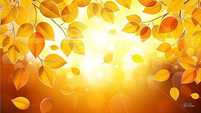 Sunshine in Birch Tree, sol, abedul, hojas, álamo temblón, brillante, otoño fondo de pantalla