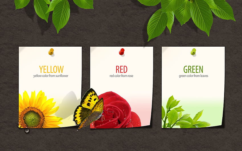 Цветовете на пролетта, роза, абстракция, пеперуда, жълто, зелено, червено, слънчоглед HD тапет