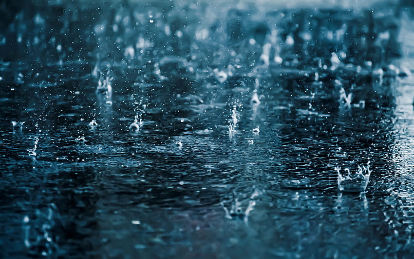 Animated Rain Gif, Rain 2560X1600 Hd Wallpaper | Pxfuel