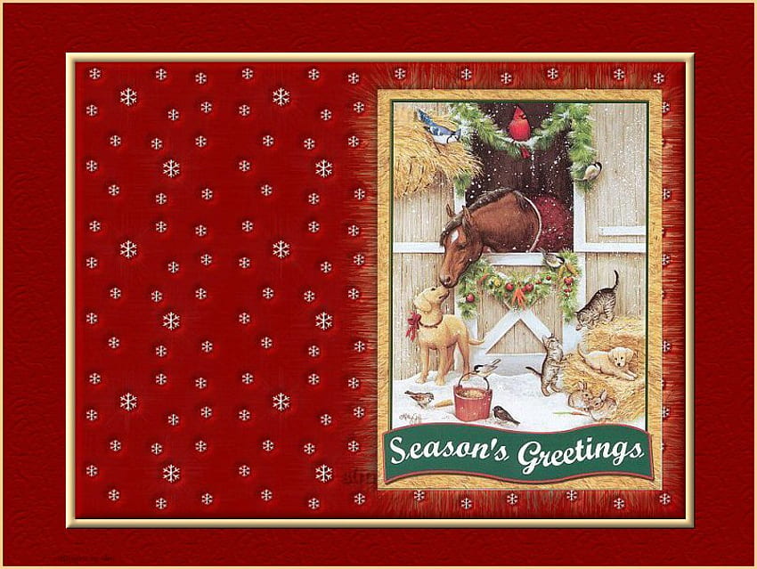 коледна конюшня, кон, кучета, поздравления за сезоните, котка, весели празници, конюшня, Коледа, червено, нов HD тапет
