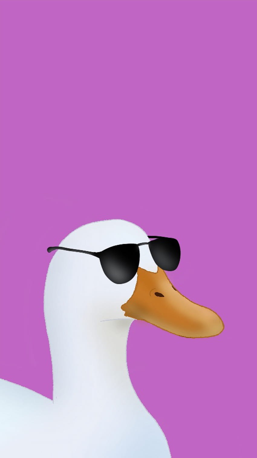 Duck with sunglasses, comfy, animal, funny HD phone wallpaper