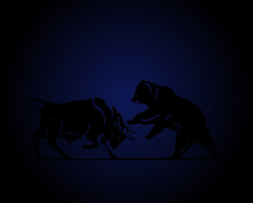 Bull Bear Noir bg Fond d'écran HD