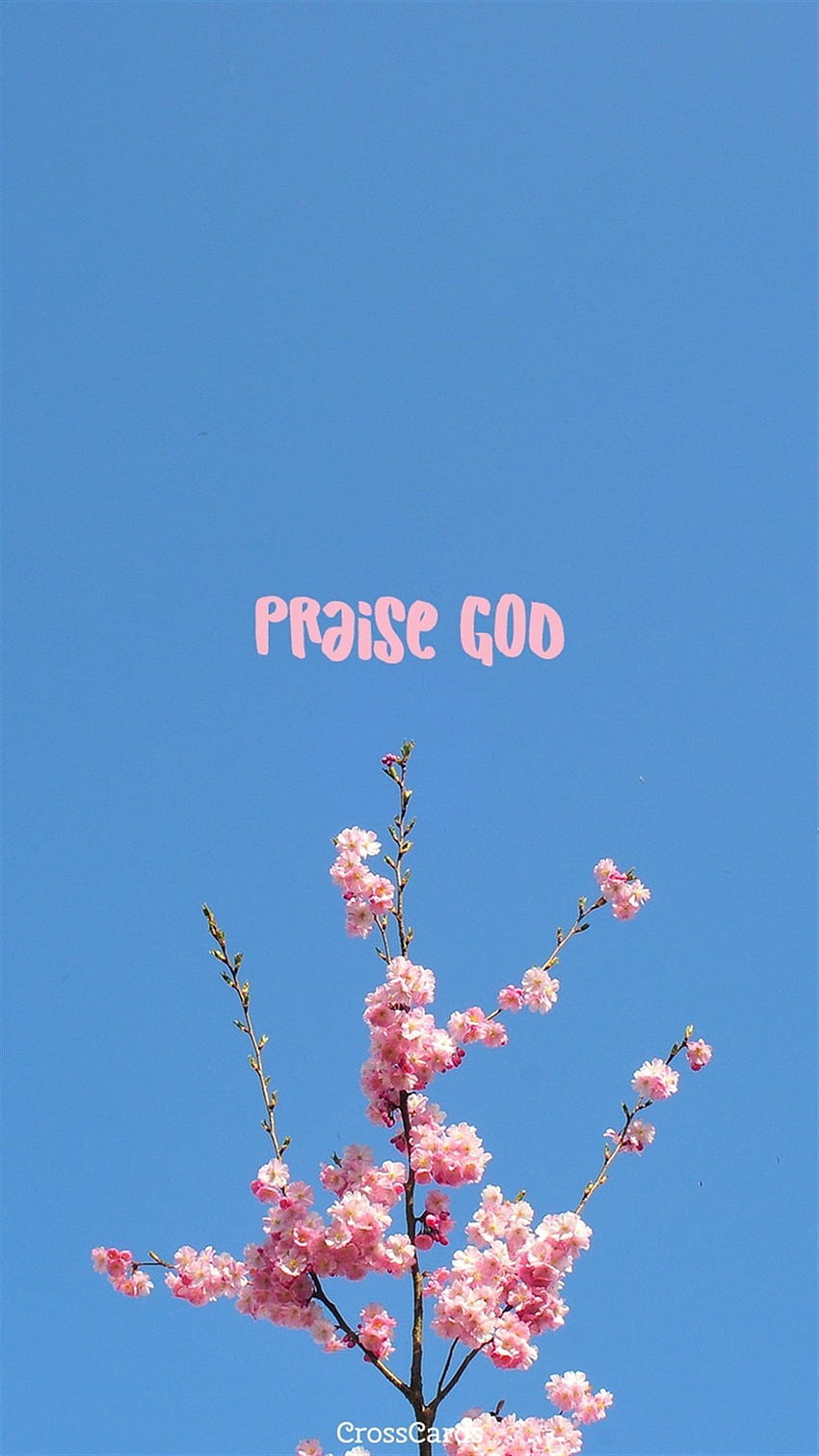 Praise God. Praise god, Praise, Joy of the lord HD phone wallpaper