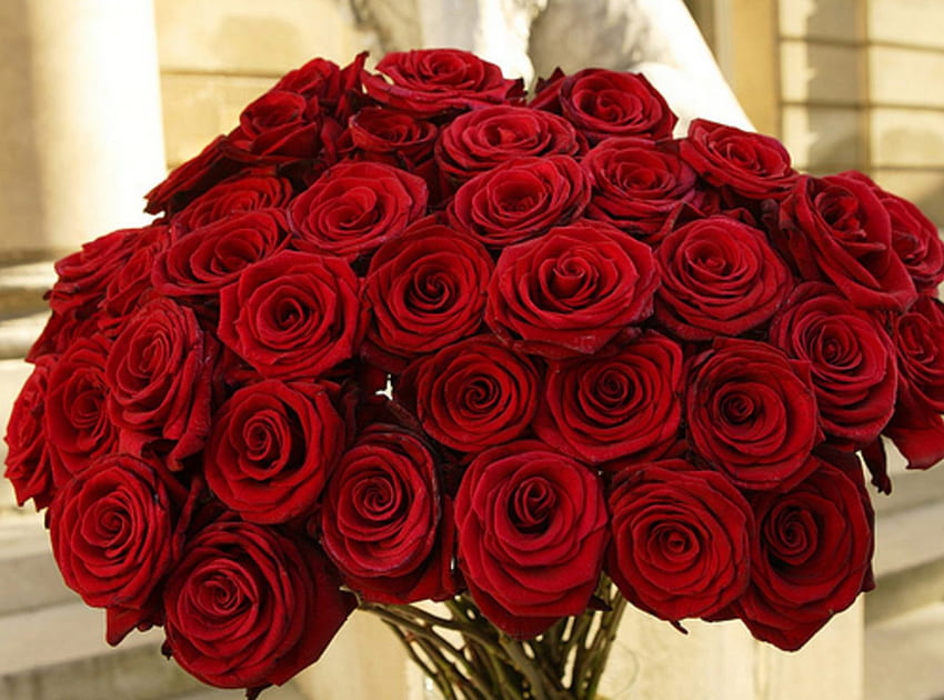 Schöner roter Blumenstrauß, Liebe, rote Leidenschaft, rote Rosen, schöner, roter Blumenstrauß HD-Hintergrundbild