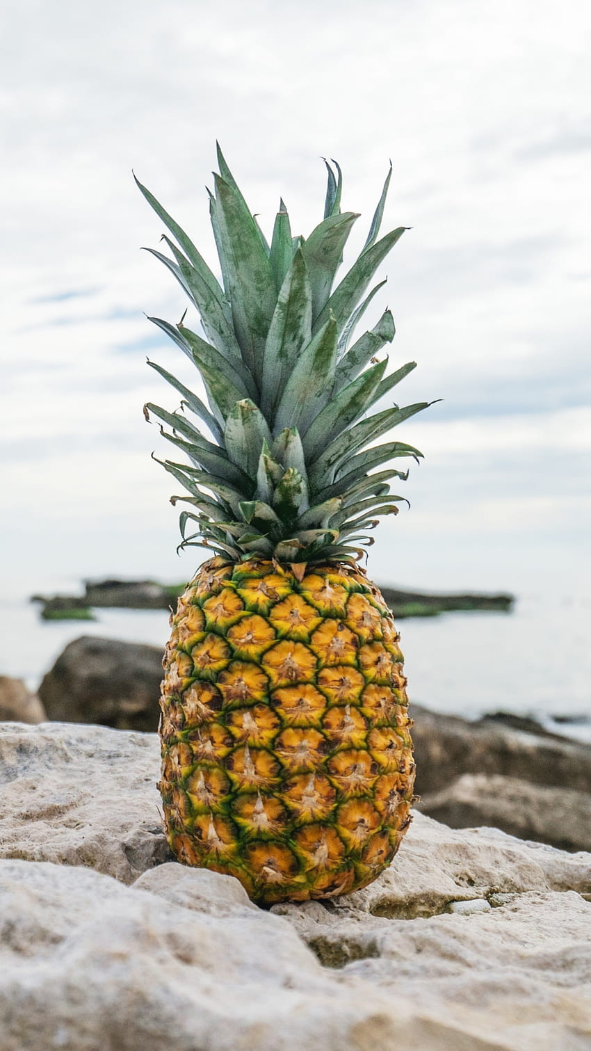 pineapple, fruit, stones, beach, , Food, Pineapple Fruit HD phone wallpaper