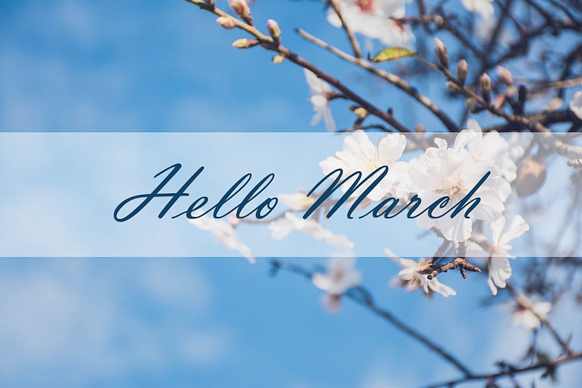 Hola marzo . Hola marzo, hola marzo, marzo fondo de pantalla
