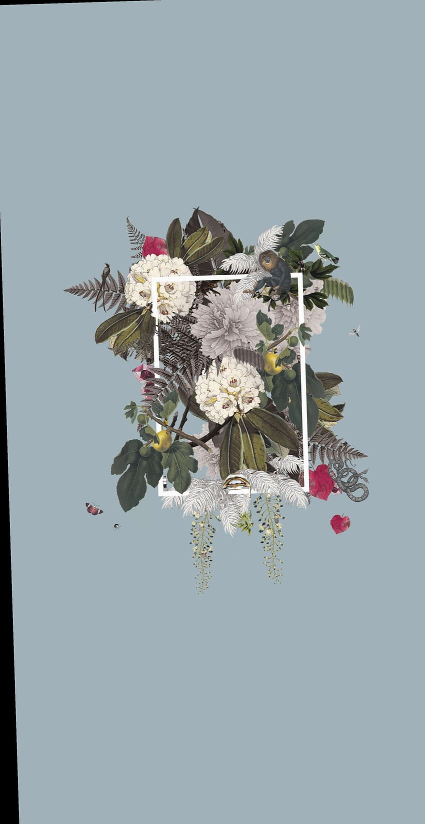 Haneen _ en Mi. Collage botánico, Flor azul, Botánico fondo de pantalla del teléfono