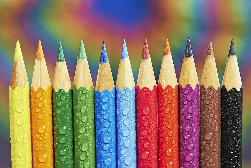 Drops on pencils, colorful HD wallpaper