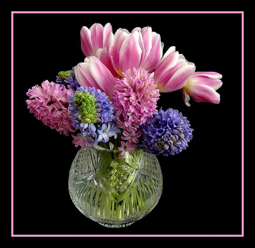 แจกันดอกไม้สำหรับ Anca Simona สีฟ้า ศิลปะ หุ่นนิ่ง แจกันแก้ว ชมพู สวย ดอกไม้ น้ำ วอลล์เปเปอร์ HD