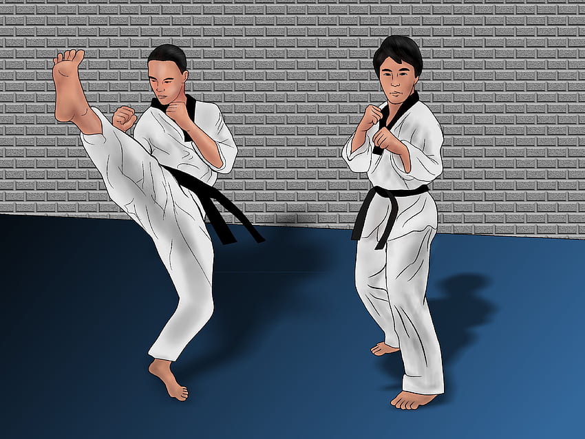 Ways to Win in Competitive Sparring (Taekwondo), Taekwondo Black Belt HD wallpaper