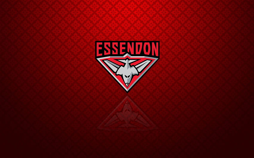 Essendon Bombers – Logos, Brisbane Lions HD тапет