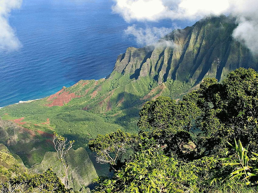 Costa de Napali, Kauai, isla, mar, colinas, vegetación, estados unidos, estado, nubes, árboles, montañas, isla jardín, océano fondo de pantalla