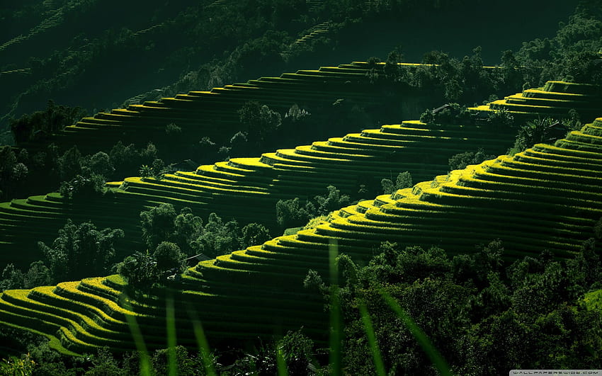Vietnam Nature Scenery ❤ for • Dual Monitor HD wallpaper