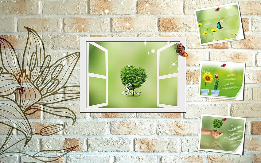 Postcards, Flower, , , Wall, Ladybug, Ladybird HD wallpaper