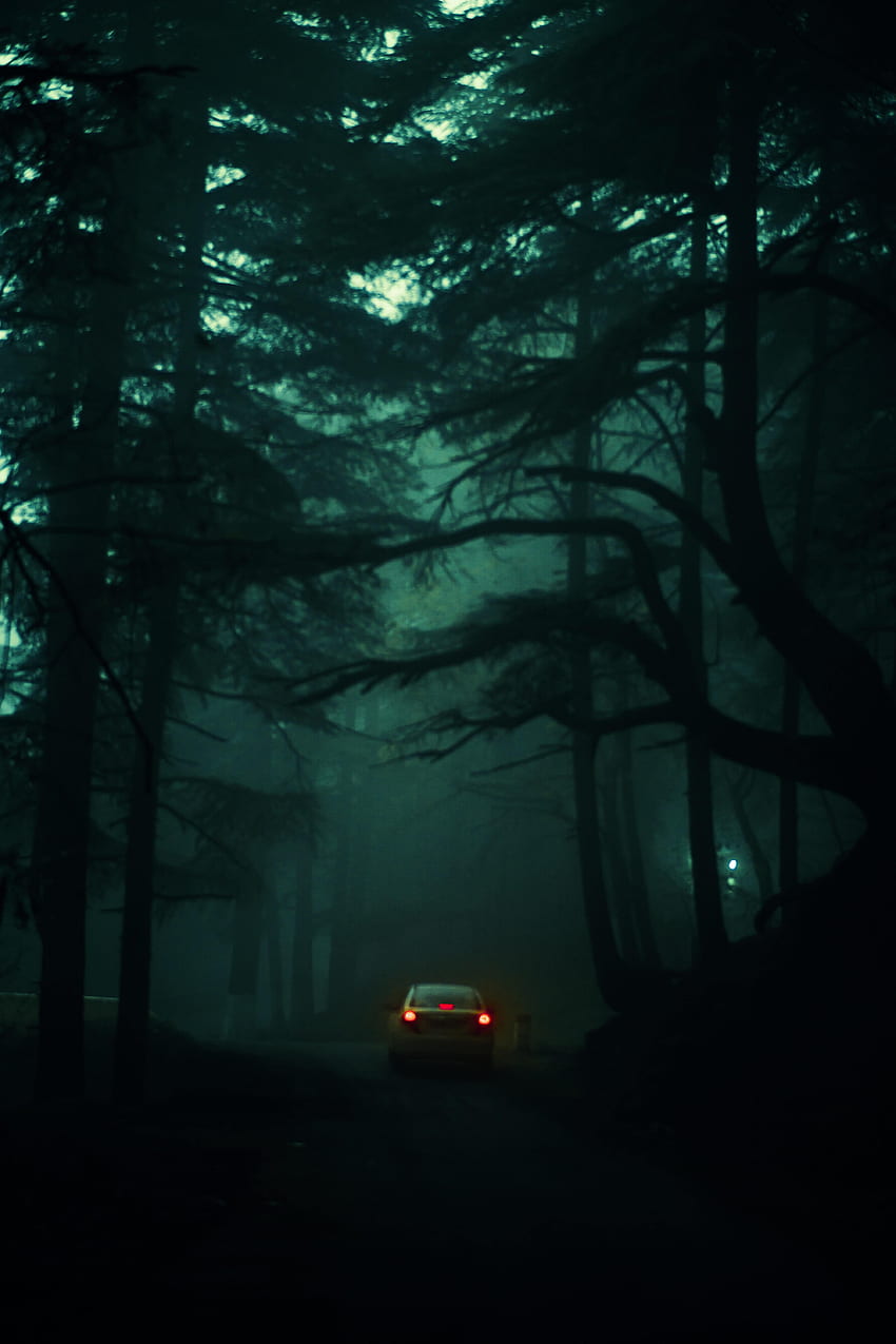 Дървета, тъмно, мъгла, кола, размазване, гладко, тъмнина HD тапет за телефон