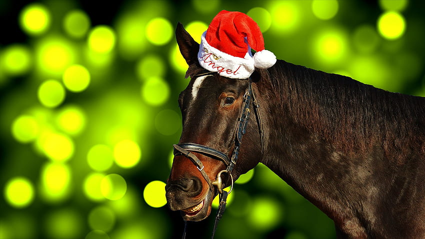 Cute Christmas Horse With Santa Cap - Horse With Santa Hat -, Christmas