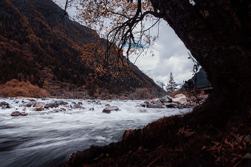 Landschaft, Natur, Wasser, Flüsse, Steine, Strömung, Bach HD-Hintergrundbild