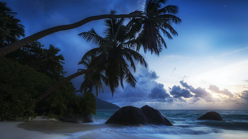Seychelles, Indian Ocean, sky, rocks, palm trees, sea, coast, clouds HD wallpaper