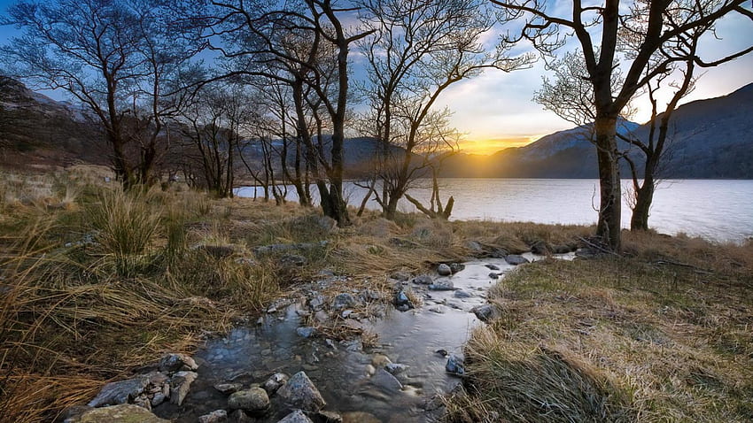 sungai mengalir ke danau saat matahari terbenam, sungai kecil, pohon, rumput, danau, matahari terbenam Wallpaper HD
