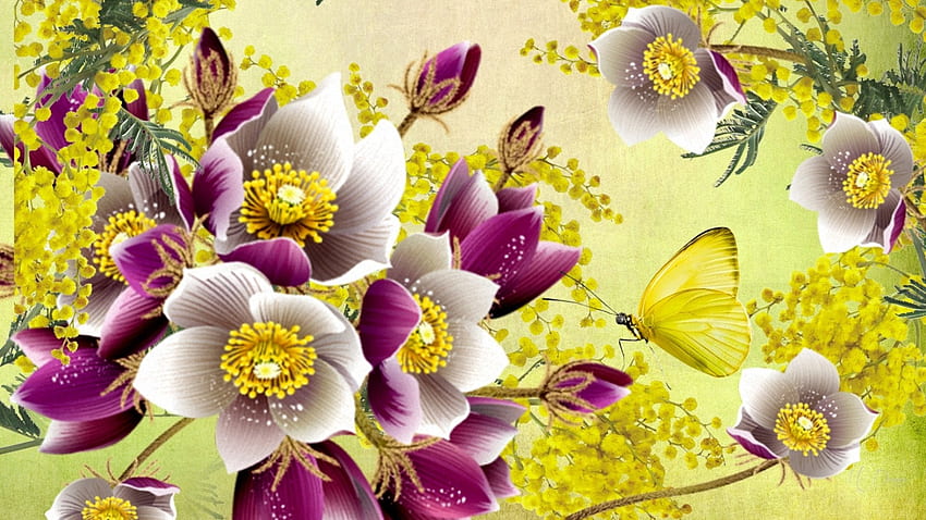 Красиво лято, мимоза, лято, цветя, пеперуда, градина, цветя, пролет, тема за Firefox Persona HD тапет