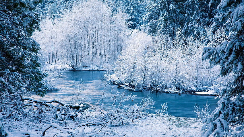 Winter, river, snow, trees, landscape HD wallpaper | Pxfuel