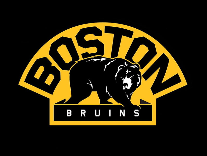 Boston Bruins Background HD wallpaper