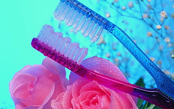 Toothbrush HD wallpaper | Pxfuel