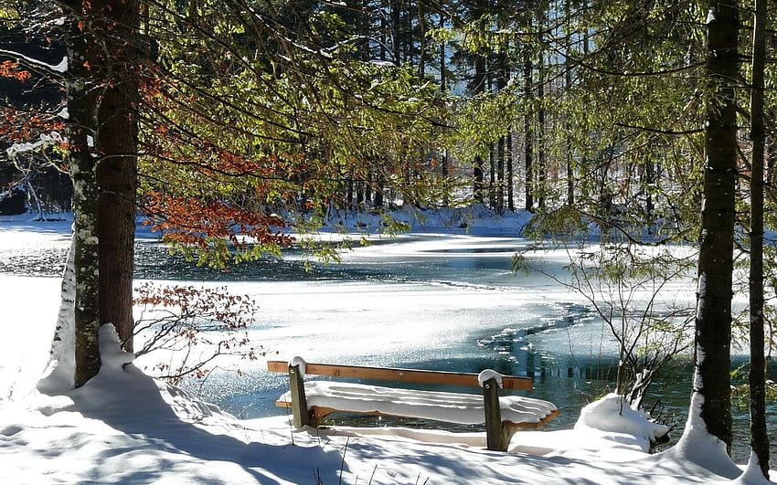 Природа, дървета, лед, сняг, езеро, бряг, банка, пейка, пролет, топене HD тапет