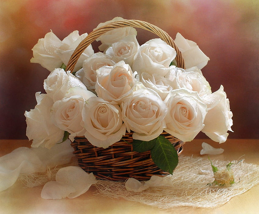 Still Life ✿, lukisan alam benda, mawar, cinta, bunga, hadiah Wallpaper HD