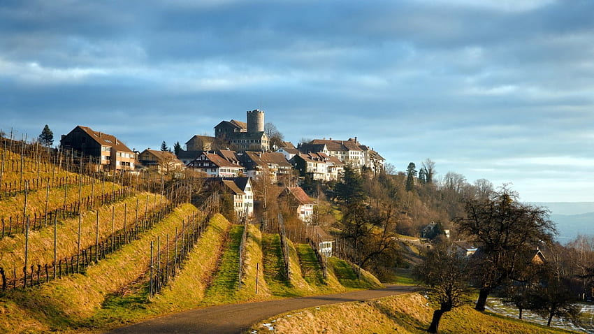 vineyards around a hill town, vineyard, road, hills, town HD wallpaper