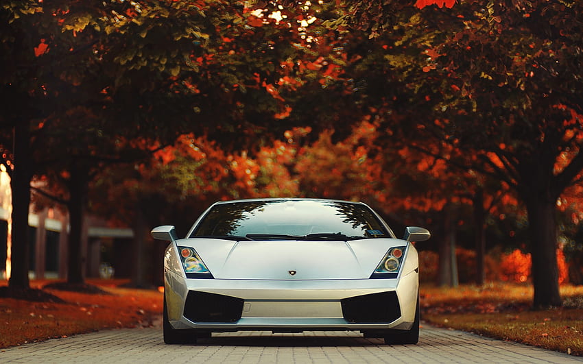 Transport, Auto, Lamborghini HD wallpaper