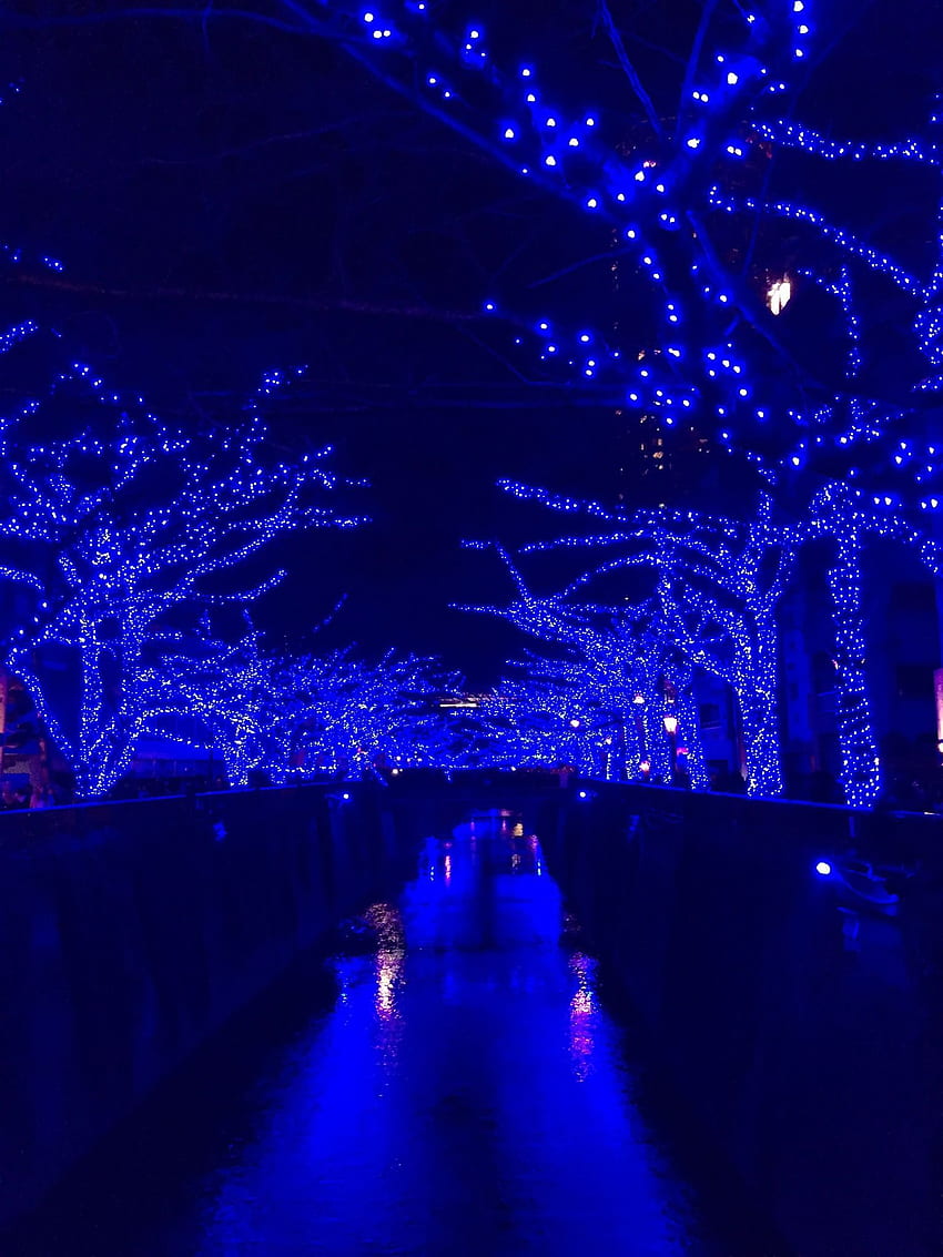 A very blue Christmas along the Meguro River. Tokyo Blue Christmas Lights Winter at Nakameguro 青の洞窟 2014. Blue christmas lights, Light blue aesthetic, Blue aesthetic HD phone wallpaper