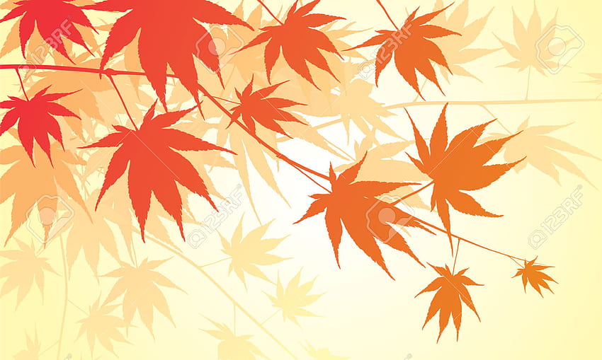 japanese maple leaf pattern, Japanese Maple Leaves HD wallpaper