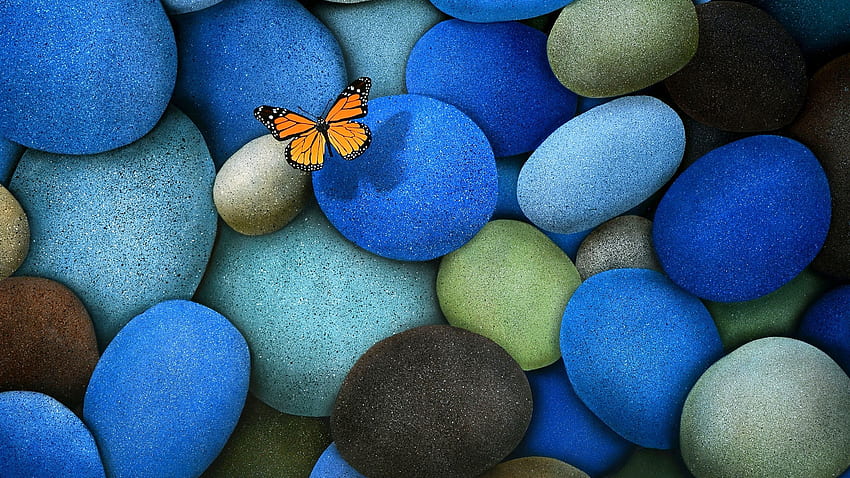2019 yılında mavi çakıl taşları üzerinde kelebek. Kelebek HD duvar kağıdı