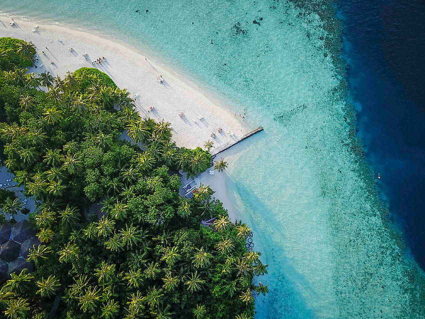 Maladewa, pulau, tropis, pemandangan udara, pantai Wallpaper HD
