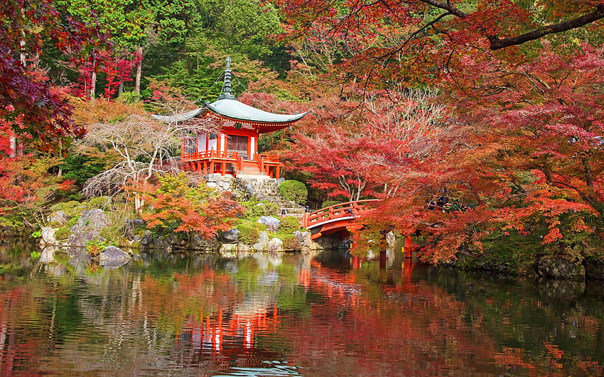 Kyoto, Japan, Japanese architecture, Kyoto Fall HD wallpaper | Pxfuel