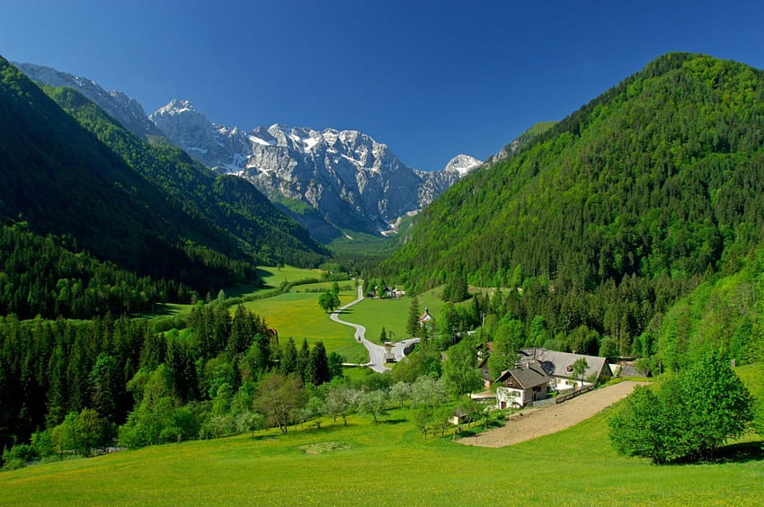 Mała wioska w Alpach, zieleń, drzewa, trawa, domy, Słowenia Tapeta HD