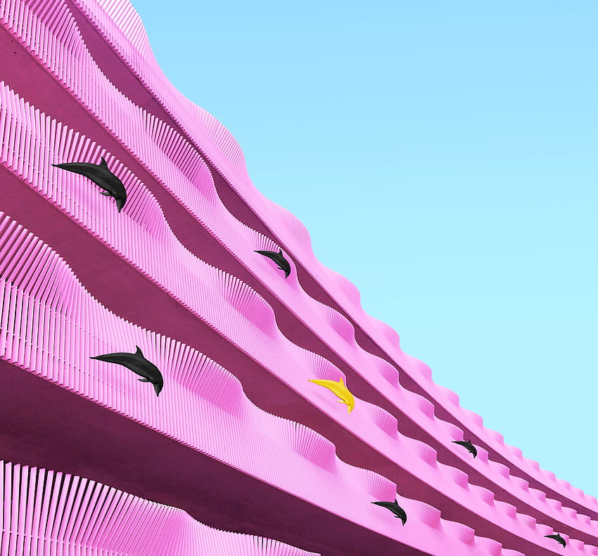 Dolfins, Pink, Architecture, Building, , , Wavy, Facade HD wallpaper