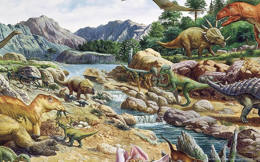 Wall Dinosaur Background, Dinosaur iPad HD wallpaper