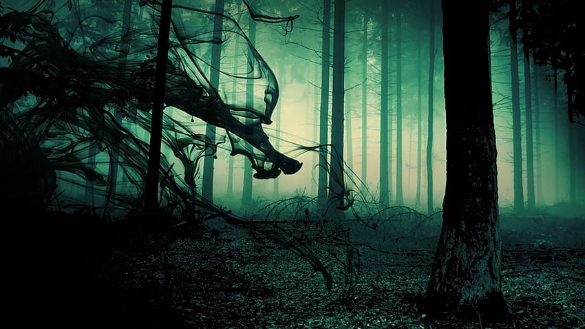 夜の森の黒い煙青い霧の緑の暗い不気味な物語の悪魔。 森の霧、暗い木、暗い背景、恐怖の森 高画質の壁紙