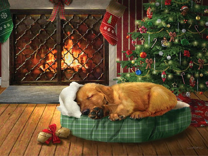 Christmas Wishes, tree, christmas, dog, cozy, chimney, fire HD wallpaper
