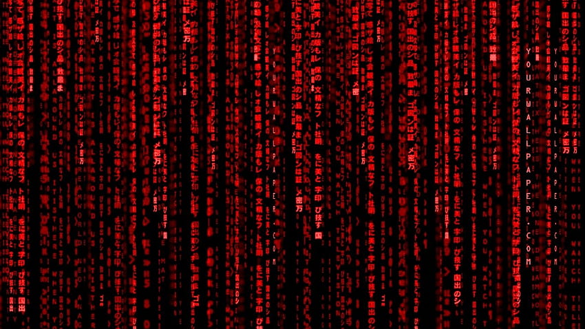 Red Matrix Red Matrix Code HD wallpaper