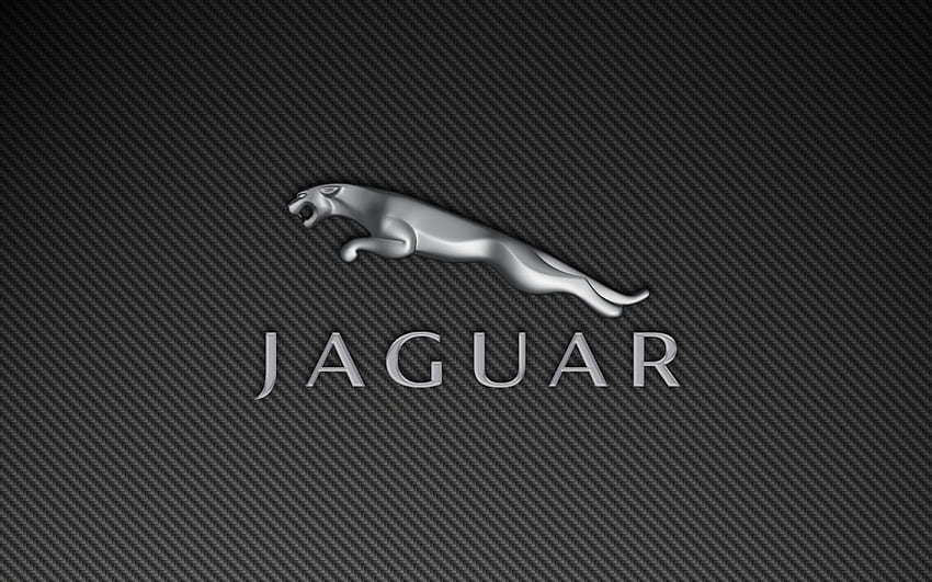 Logo Jaguar - Automotive Car Center, Logo Tata Sfondo HD